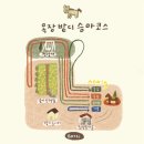 승마체험코스 | 제주 목장카페밭디 :: 승마체험 코스, 시간, 비용 후기 (동물먹이주기 체험)
