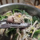 동도카마스타 이미지