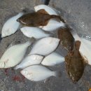 북서풍피싱