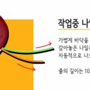 해바라기2 이미지