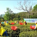 보성자원 이미지