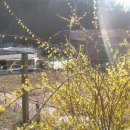 대로농장 이미지