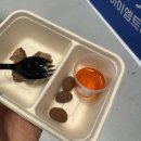 [2026 올댓트래블] 코엑스 D홀 / 부스 체험 방문 후기 / 가는 방법