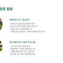정복세천 네이버블로그