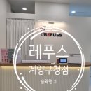 레푸스계양