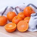 필라테스 귤 이미지