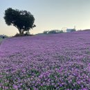 유상목장 이미지