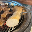 피그트램 이미지