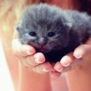 유영철 농장 이미지