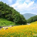 병방산군립공원 이미지