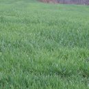 생동농장 이미지