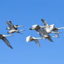 경안천 4 이미지