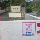 안녕,사랑 | [충주맛집] 자연친화적인 감성공간 충주 민들레 방문 솔직 후기 ✨🏡