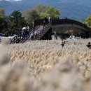 숲속의노래연습장 이미지