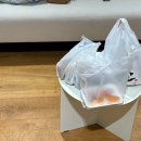 제주 서쪽 독채 풀빌라 오카소 제주 2박 3일 후기