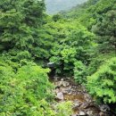 청산에식당