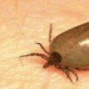 튼튼동물약국 이미지