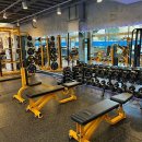 수정동 헬스장 이미지