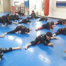 합기도 LG 무림관 이미지