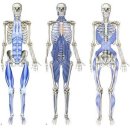 핏앤컨트롤 이미지