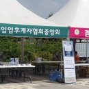 일등임업 네이버블로그
