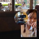 어컴퍼니 | 어컴퍼니 온! 도쿄로!