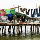 홍주세탁소 이미지