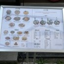 동행소주방 네이버블로그