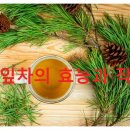 솔잎차(松葉茶)의 효능과 작용 이미지