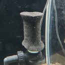 평화기공노동조합 | 3자 대만식 수조 역저면 1년 사용 후기