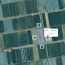 동수농장 | 딸기 하우스 어떻게 지을까? part 2. 배치