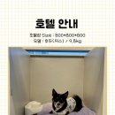 뽀글뽀글 반려견 유치원&호텔 이미지