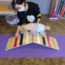 행복한개 이미지