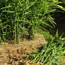 태호농장 이미지