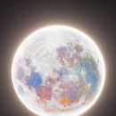 동아개발(새삶빌딩) | 봄 시작! 일상 블로그