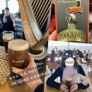 니트하우스(NEAT HOUSE) | 더블린🇮🇪 필수코스!! 기네스하우스: 예약/학생할인/기념품(사진많고 긴 리뷰)