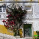 오비도스 이미지