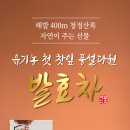 풍설다원