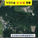 농지처분/봉산리1373-3, 1385-1(NO5,6)/지경원 지두환 지순근 이미지