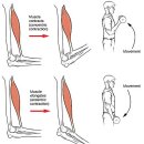 TREX트레이닝센터 이미지