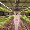 한삼농장 이미지