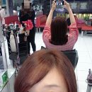 전국머리자랑 네이버블로그