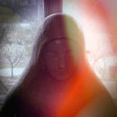 장주기 요셉재활원 이미지