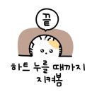 훈장군대형세차