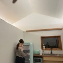 막다른 둥지 이미지