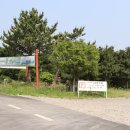 여행자를 위한 여행영어 | 제주렌트카, 초보 여행자를 위한 A to Z 가이드 추천해요!