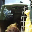 블리빵빵 이미지