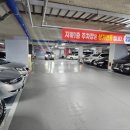 제주곤이칼국수 이미지