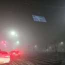 가곡로 | [2026년 4월 12일 일레븐CC - 내돈내산 라운딩 후기 - 가성비 좋은 골프장