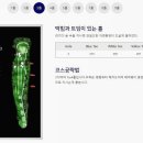 알프스대영 골프장 이미지
